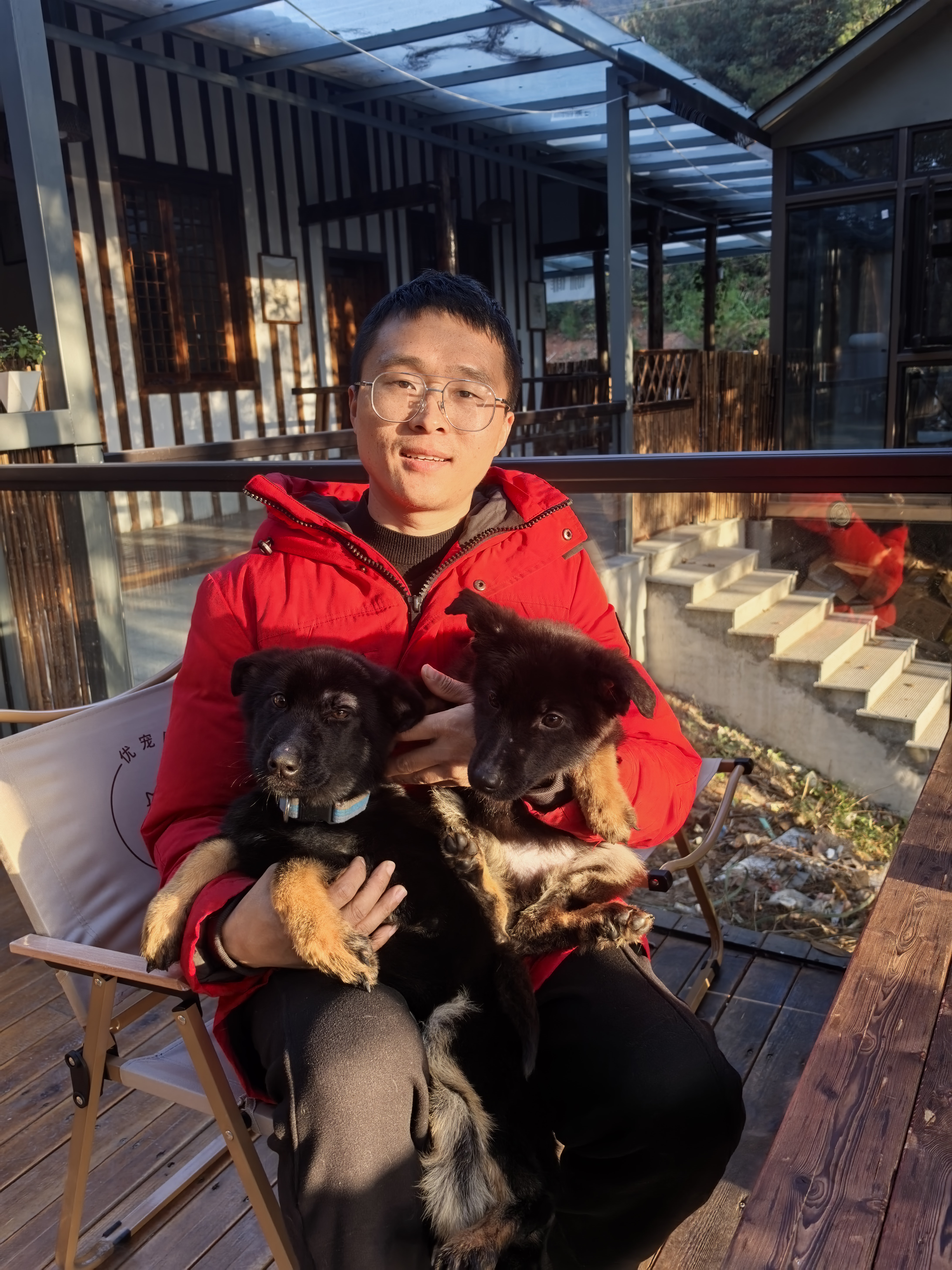 双血统带芯片+追踪器+信息牌